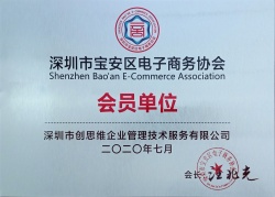 “电子商务协会会员单位”荣誉证书