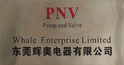 祝东莞辉奥电器有限公司通过TUV SUD--RBA VAP认证审核