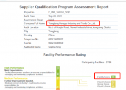祝阳江恒裕工贸有限公司通过WCA/SQP验厂，并取得WCA最高等级绿灯86分
