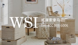 祝博罗县福田富锋五金制品有限公司通过ELEVATE审核的WSI威廉索拿马验厂