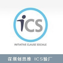 ICS验厂审计类型