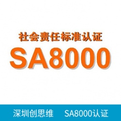 SA8000认证认可哪些审核机构？