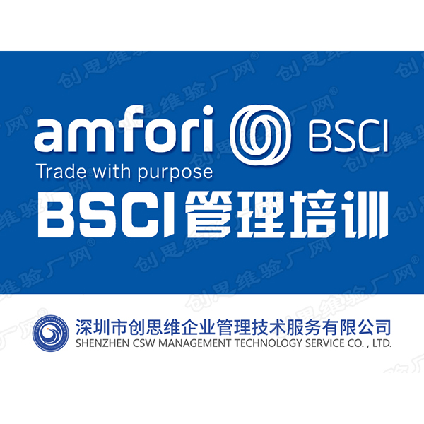 BSCI管理培训